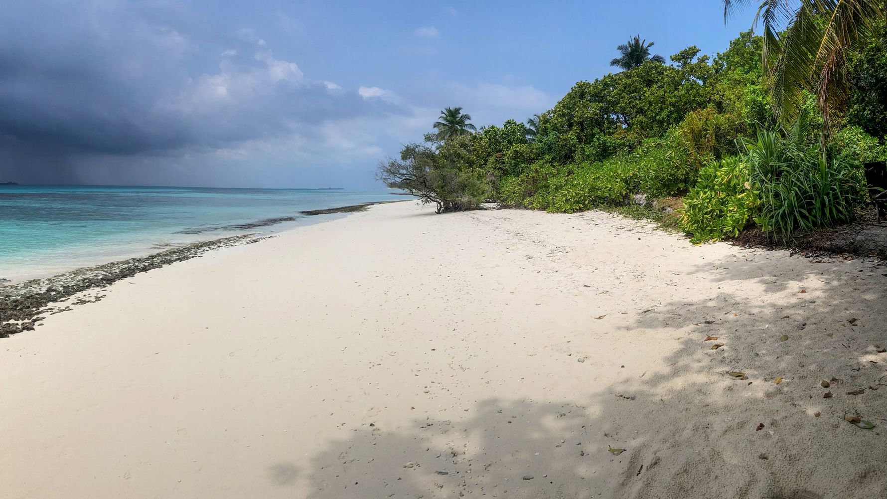 landingpage-natucate-conservation-scholarship-abroad-grants-volunteering-maldives