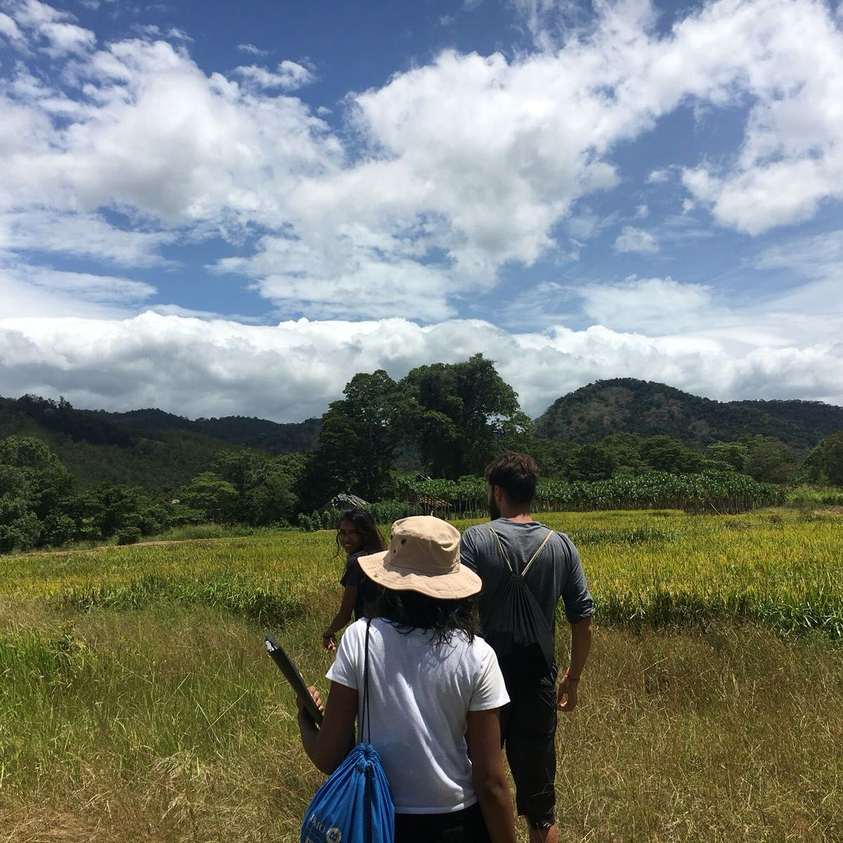 freiwilligenarbeit-sri-lanka-erfahrungsbericht-artenschutz-elefant-natucate