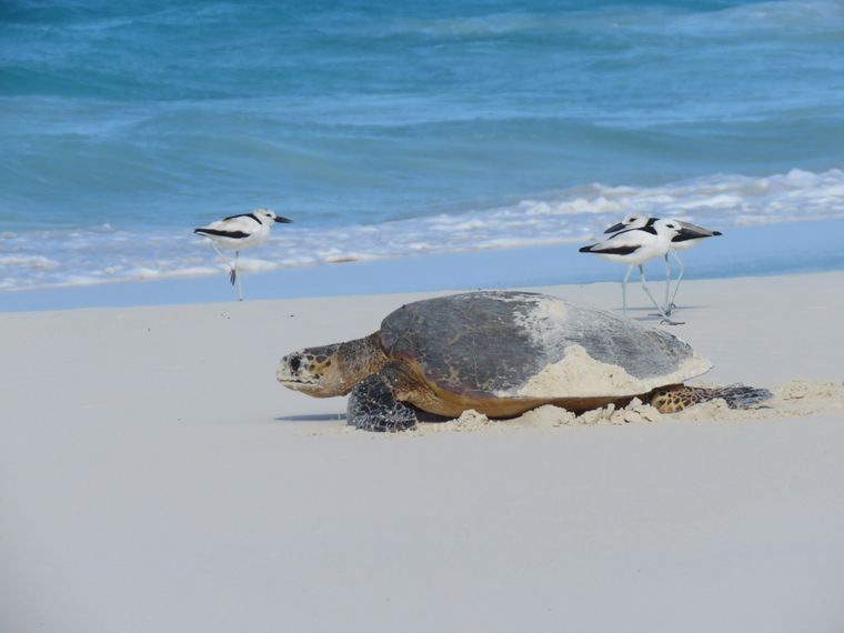 erfahrungsbericht-seychellen-kundenfotos-sabbatjahr-natucate
