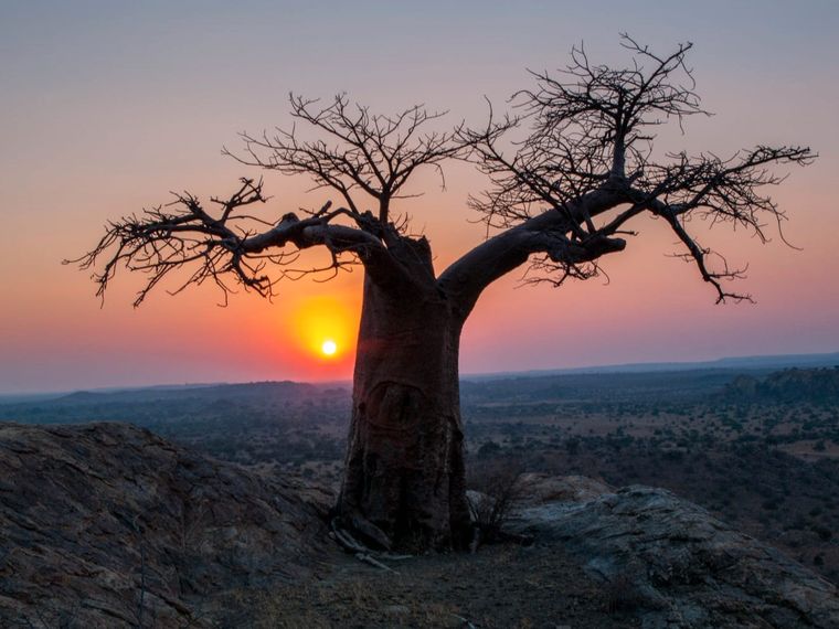 erfahrungsberichte-blog-news-terry-tree