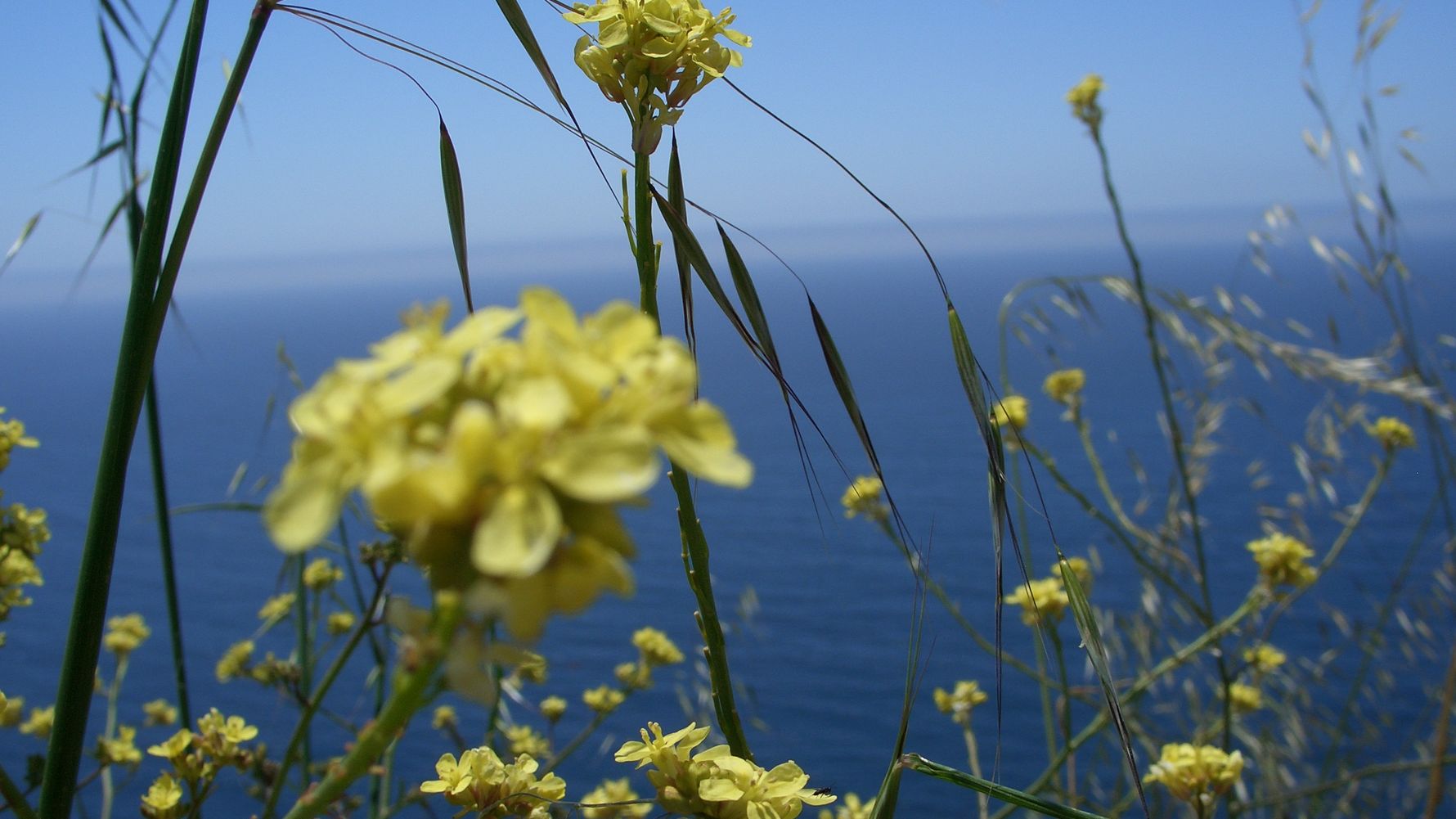 blog-ratgeber-reisetipps-und-wissenswertes-lea-kalifornien-natucate