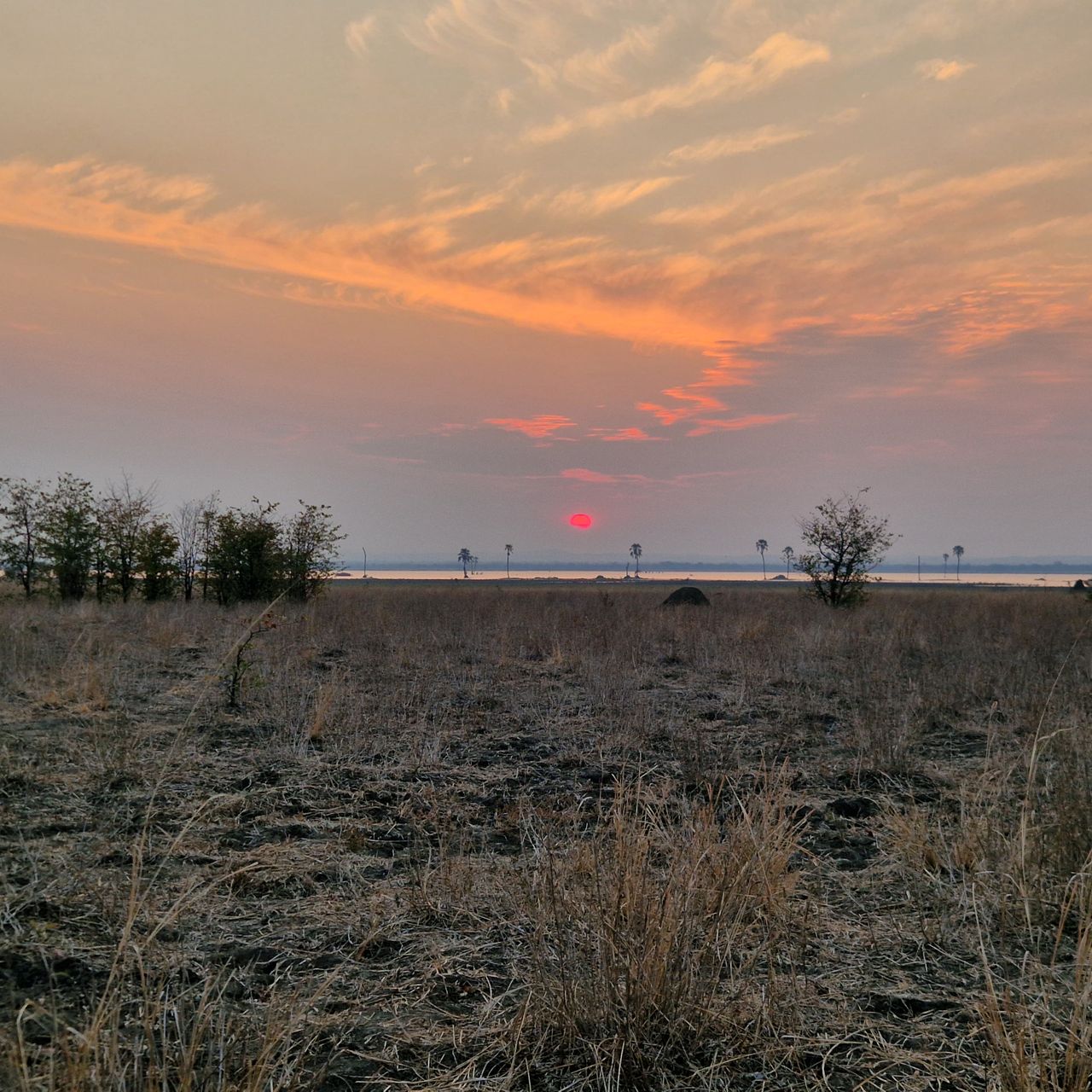 Sunrise