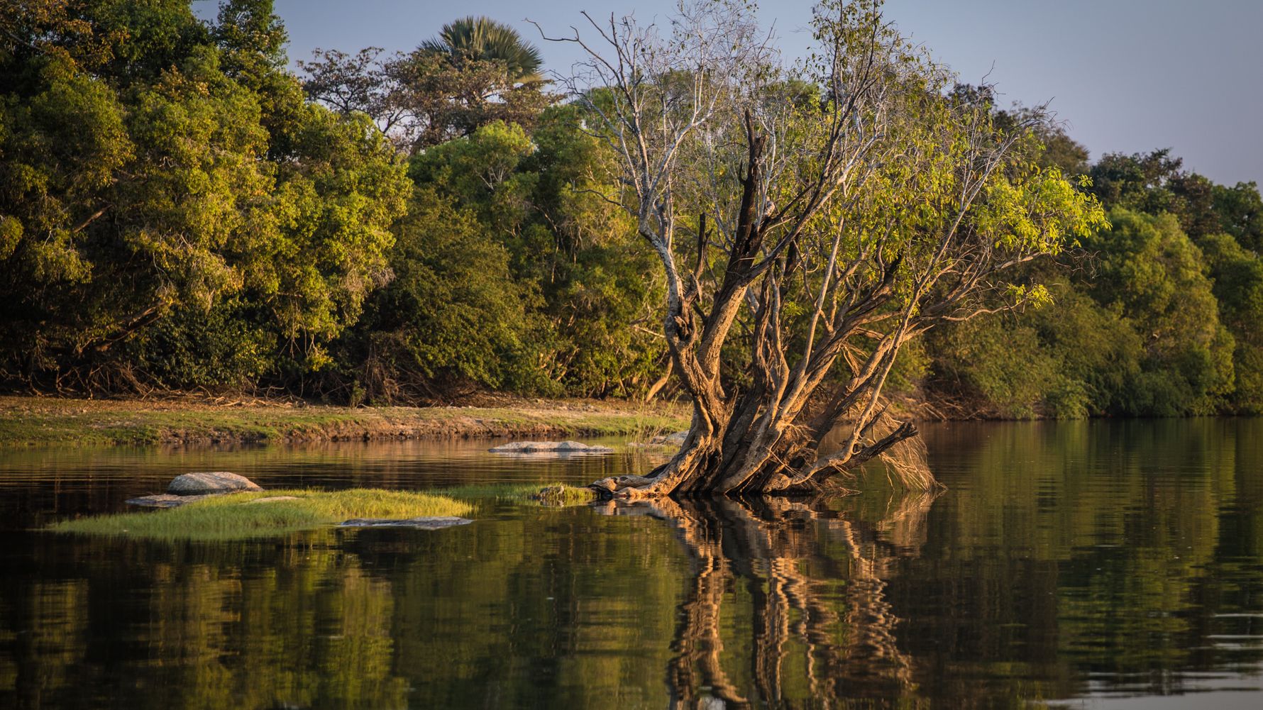 sambia-laenderinformationen-fluss-baum-landschaft-natucae
