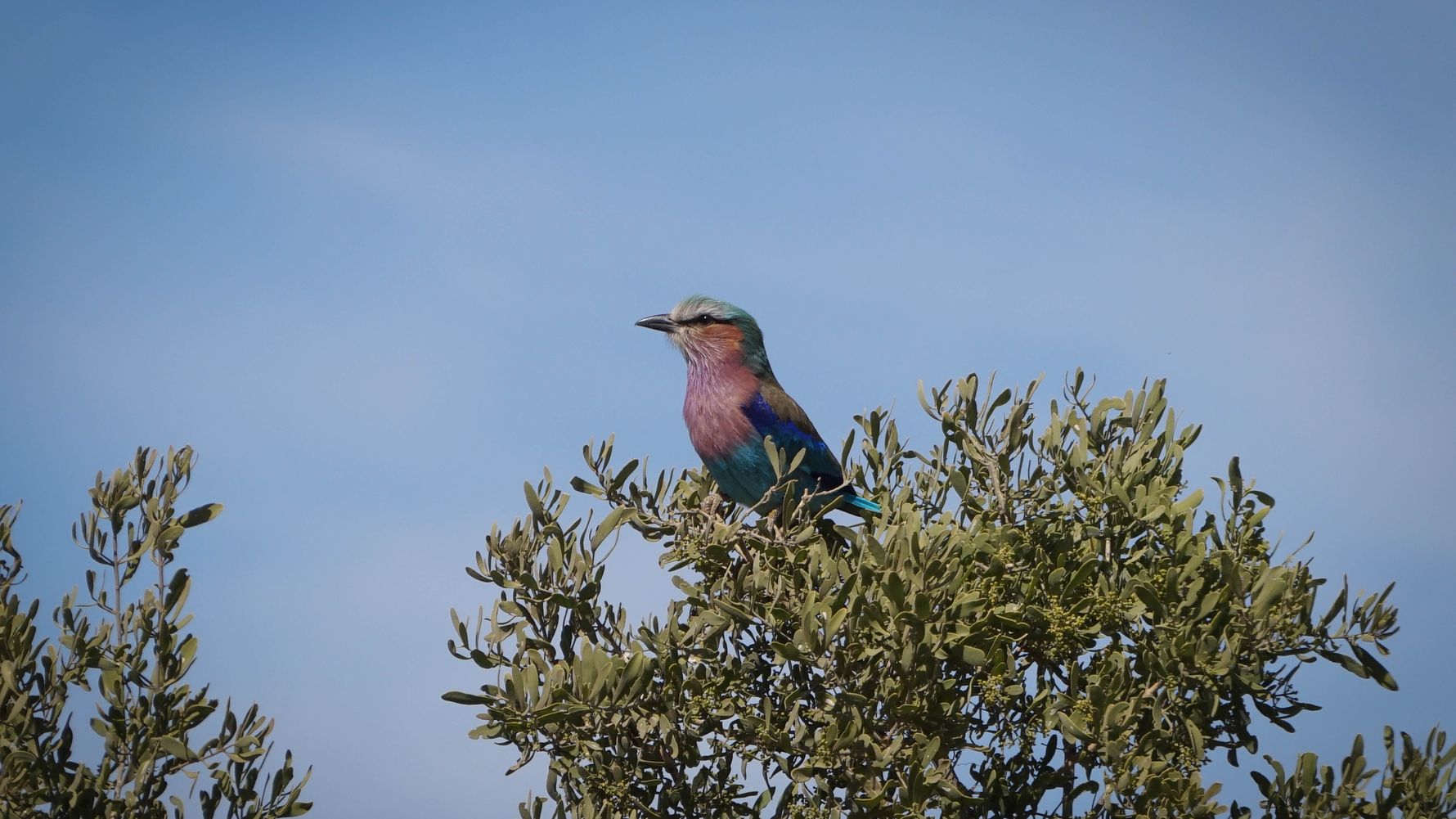 erfahrungsberichte-naturreise-afrika-private-wilderness-experience-rene-gabelracke-natucate