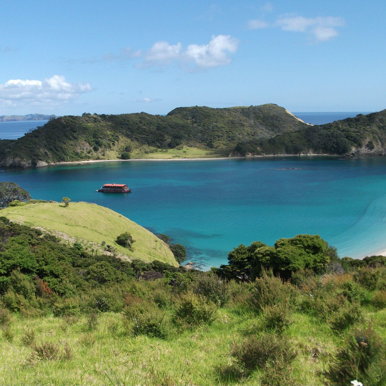 volunteering-neuseeland-erfahrungsbericht-naturschutz-meer-natucate