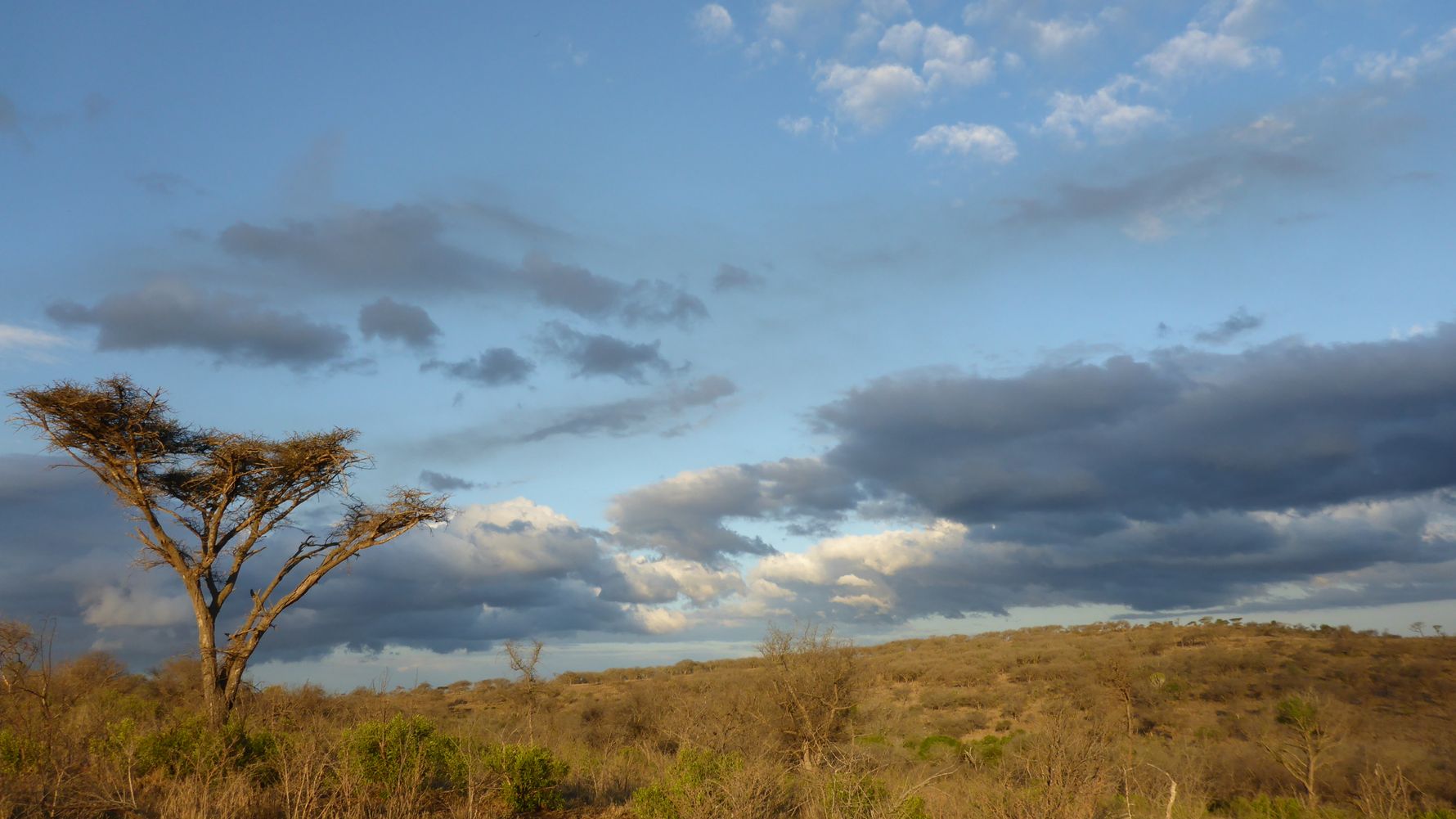Rangerausbildung: Die afrikanische Wildnis