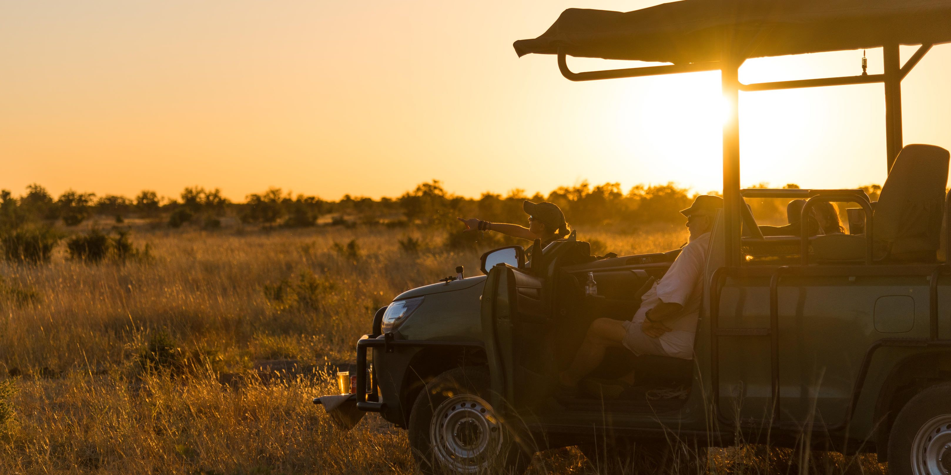 natucate-safari-zimbabwe-hwange-bush-camp-game-drive