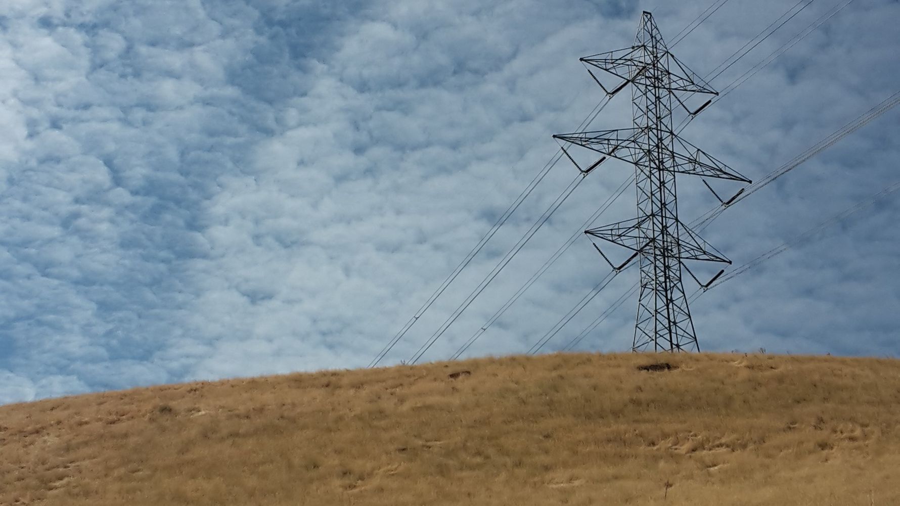 erfahrungsbericht-praktikum-usa-landwirtschaft-oekologischer-hof-wolken-natucate