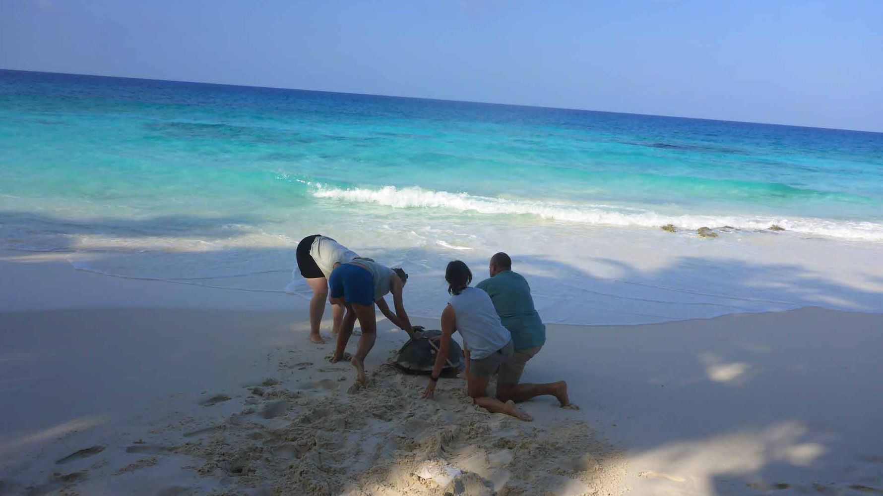 freiwilligenarbeit-seychellen-erfahrungsbericht-artenschutz-kundenfotos-meer-natucate