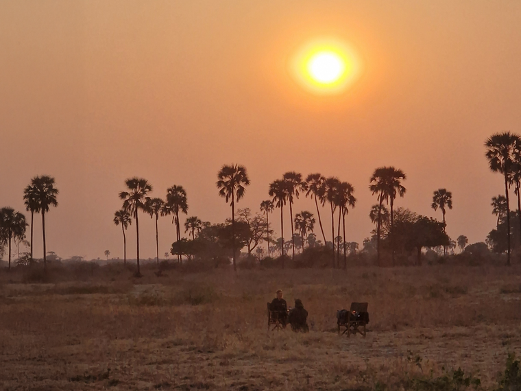 natucate-blog-field-visit-ruaha-sunset