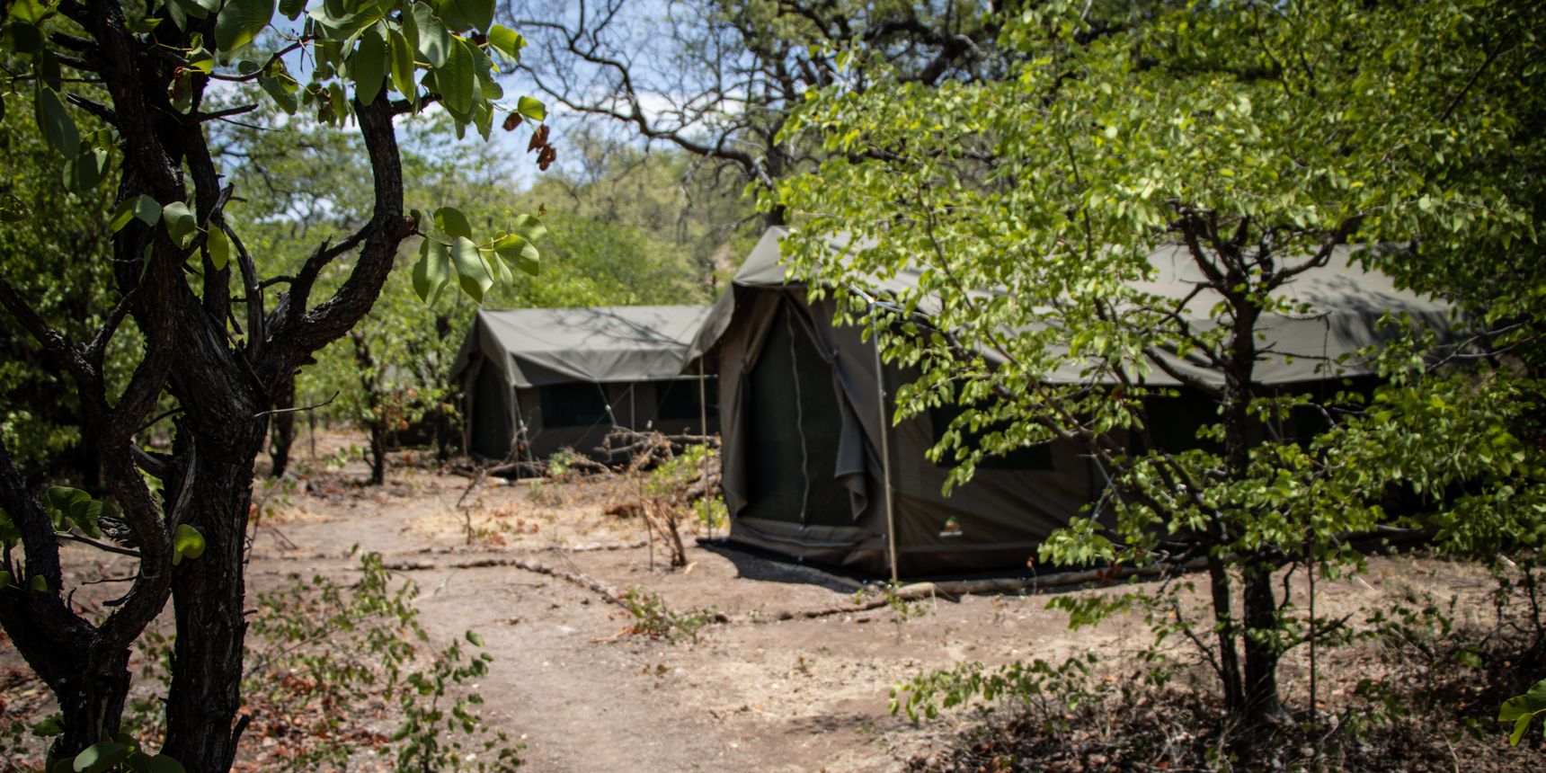 natucate-blog-camp-mashatu-2024-campside