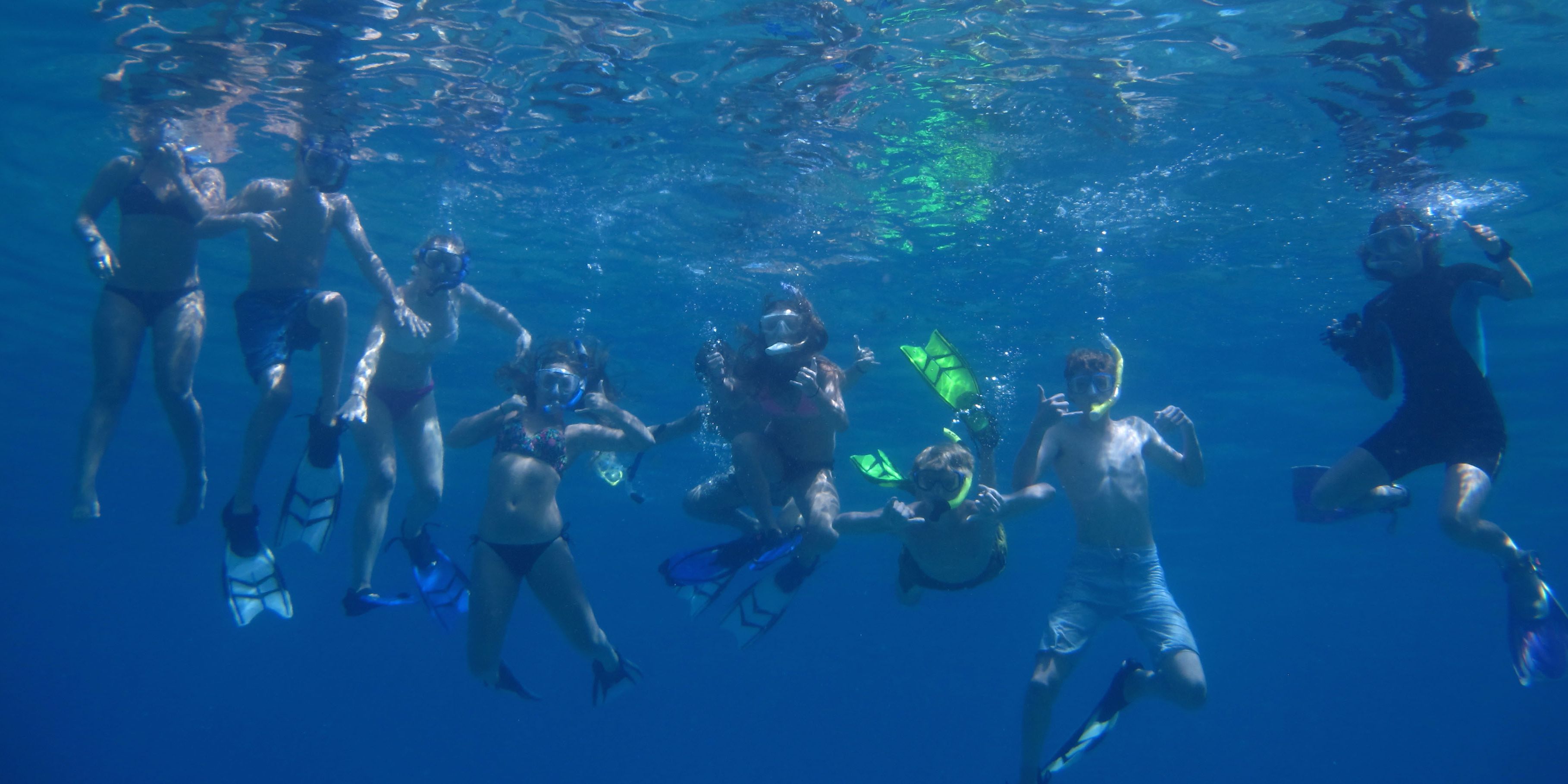 Underwater shot of a group of conservation volunteers diving off the Hawaiian coast