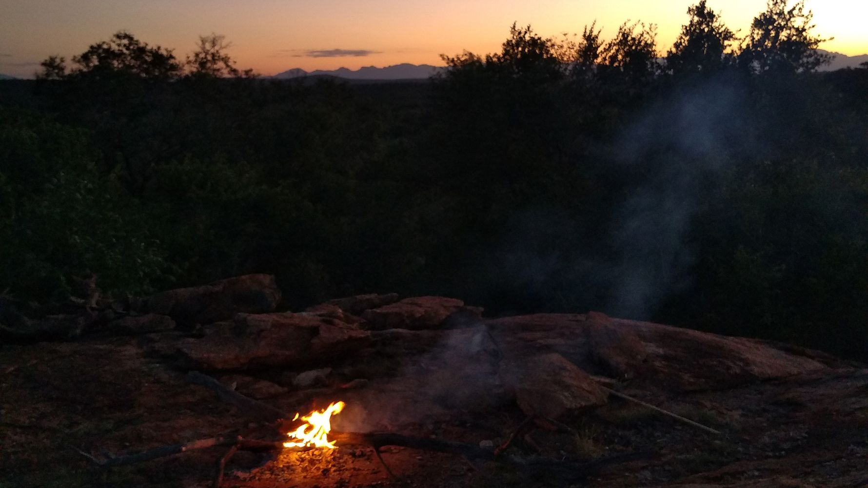 erfahrungsberichte-rangerkurs-field-guide-level-1-suedafrika-marilen-lagerfeuer-natucate