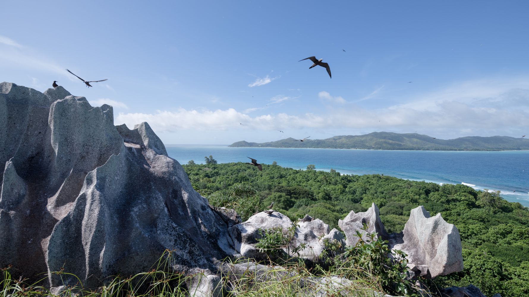 erfahrungberichte-freiwilligenarbeit-seychellen-cousin-island-lorenzo-ausblick-voegel