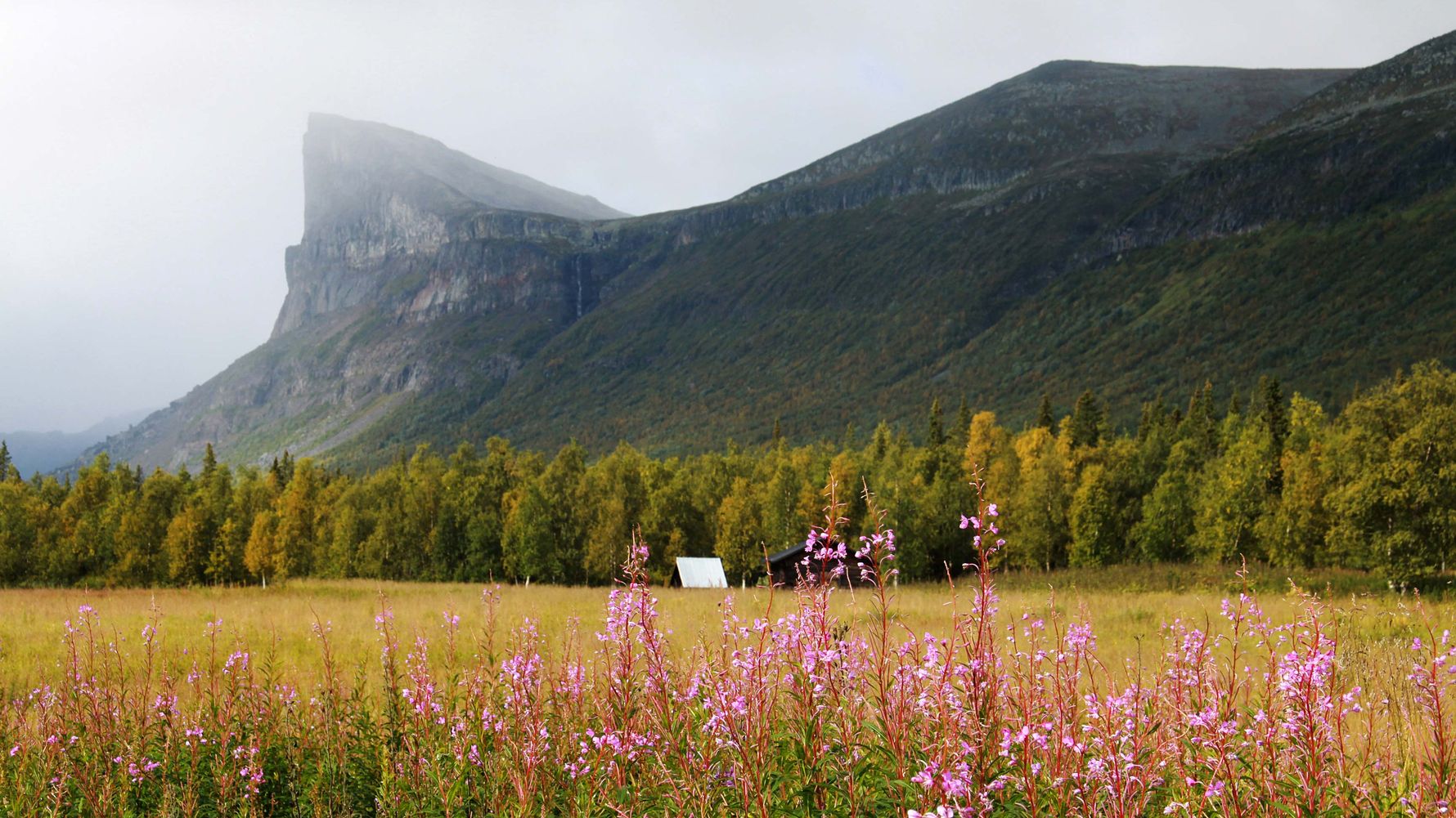 laenderinformationen-schweden-skierffe-natucate