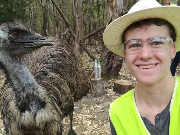 erfahrungsberichte-freiwilligenarbeit-australien-naturschutz-nico-emu