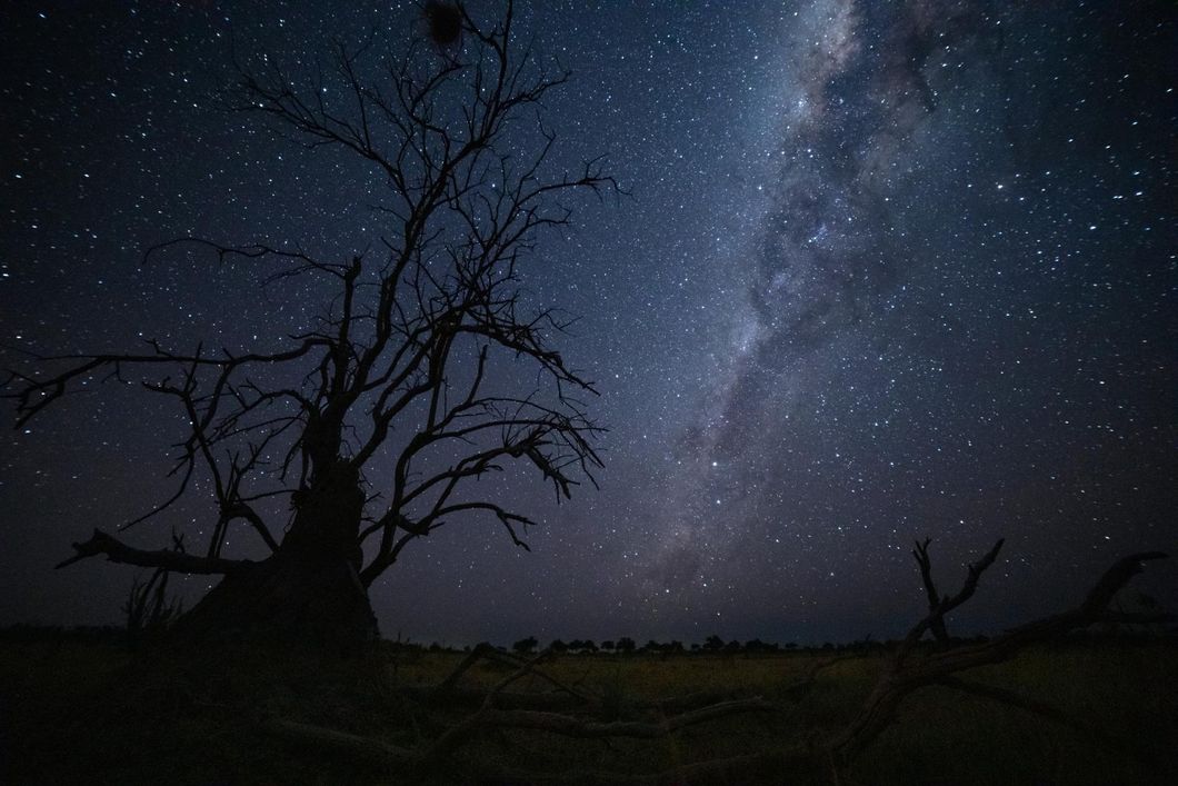 Der prunkvolle Sternenhimmel bei Nacht in Botswana