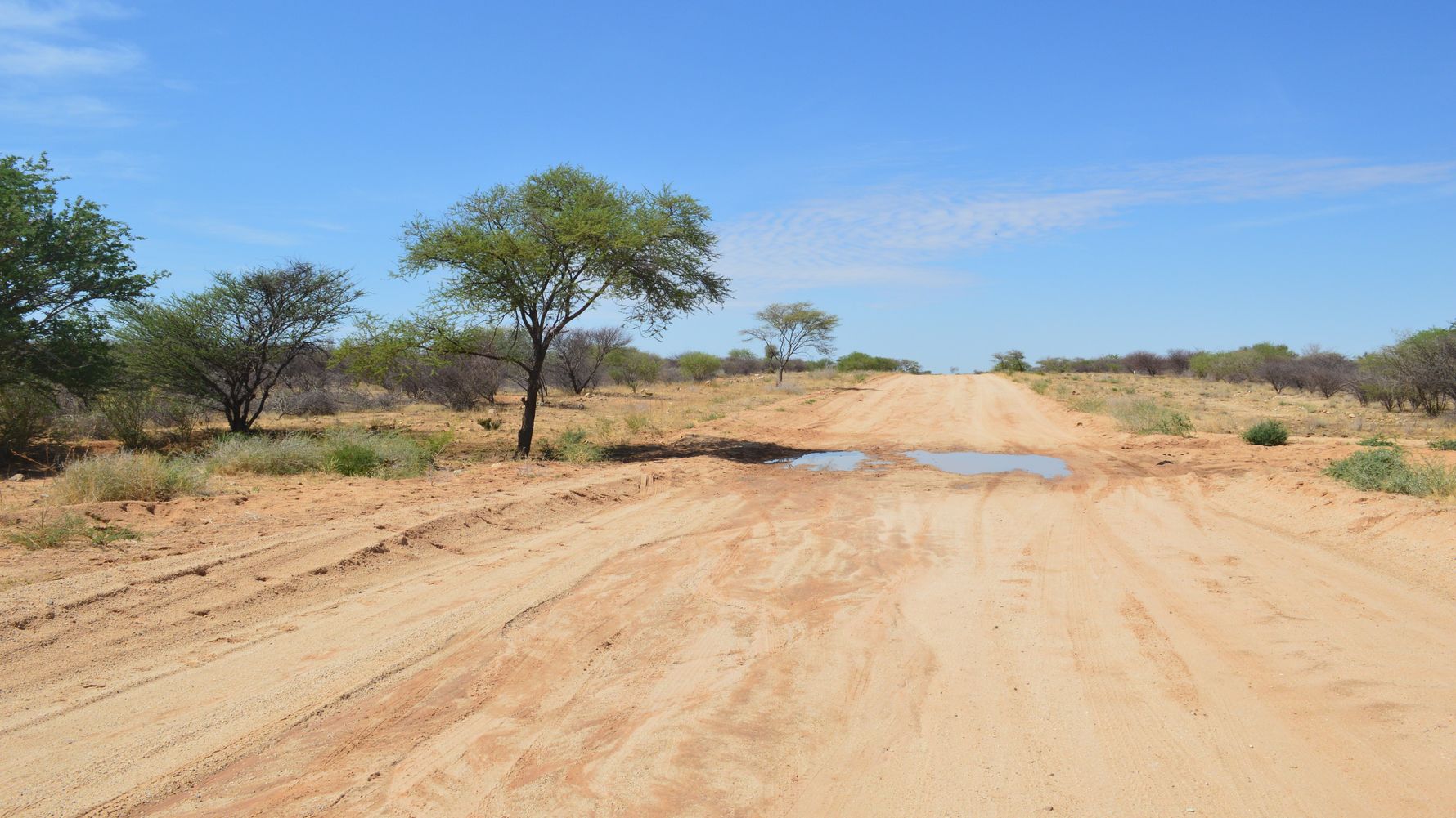 Gap Year in Namibia: Eine unbefestigte Strasse mit einer Wasserstelle verschwindet im Horizont