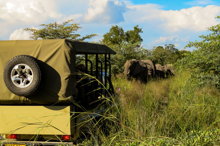 reise-safari-delta-caprivi-game-drive