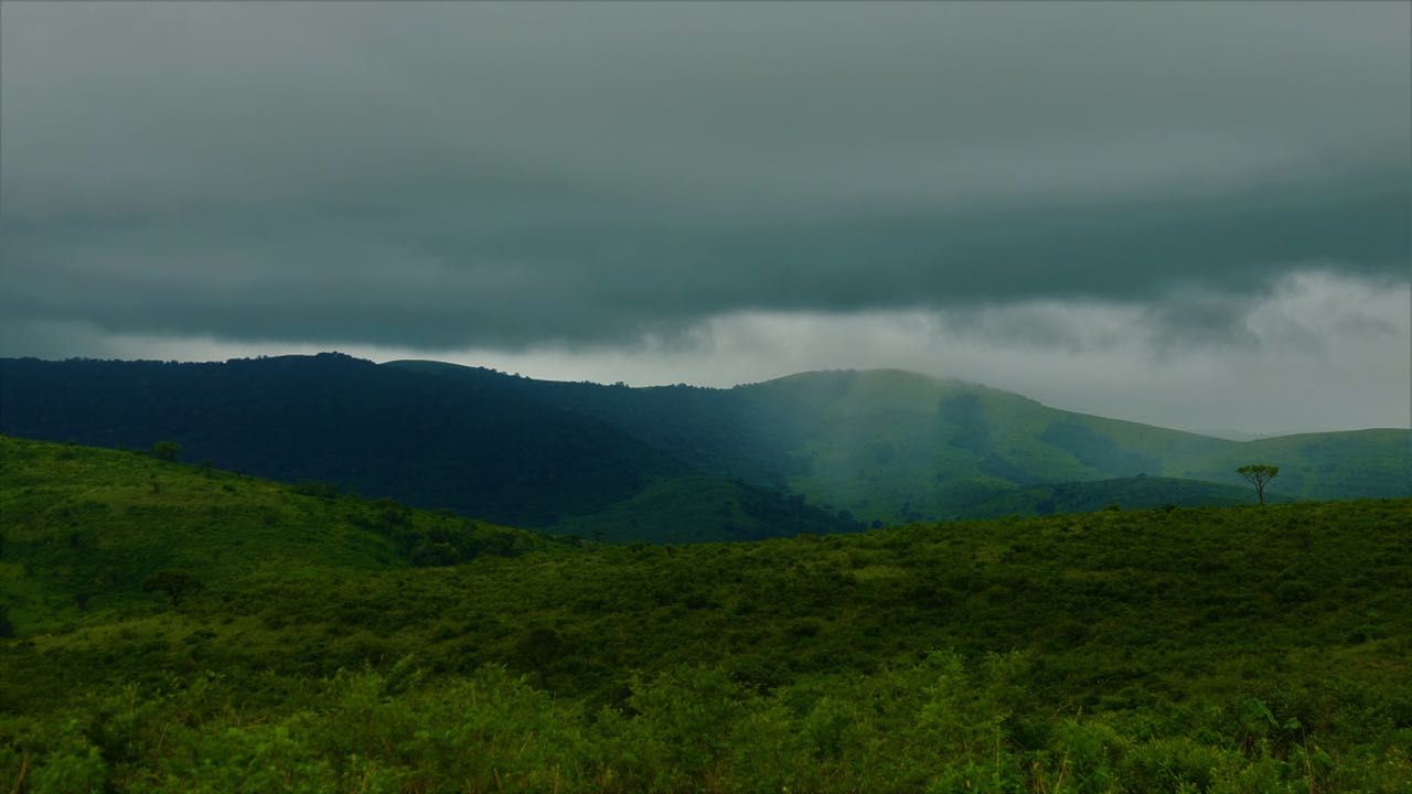 freiwilligenarbeit-suedafrika-erfahrungsbericht-kundenfotos-artenschutz-wildnis-natucate