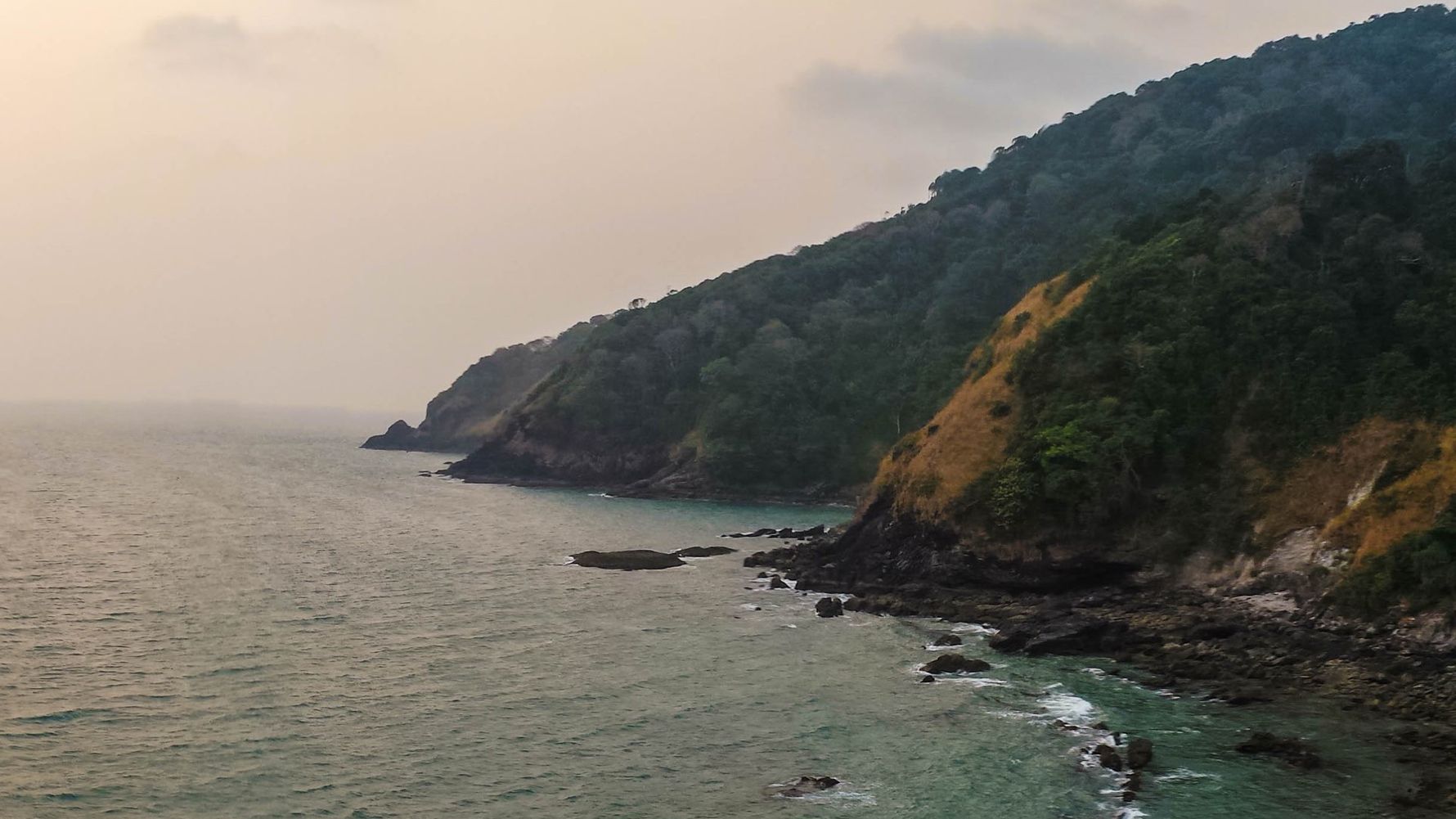 freiwilligenarbeit-thailand-erfahrungsbericht-kundenfotos-tierschutz-kueste-natucate