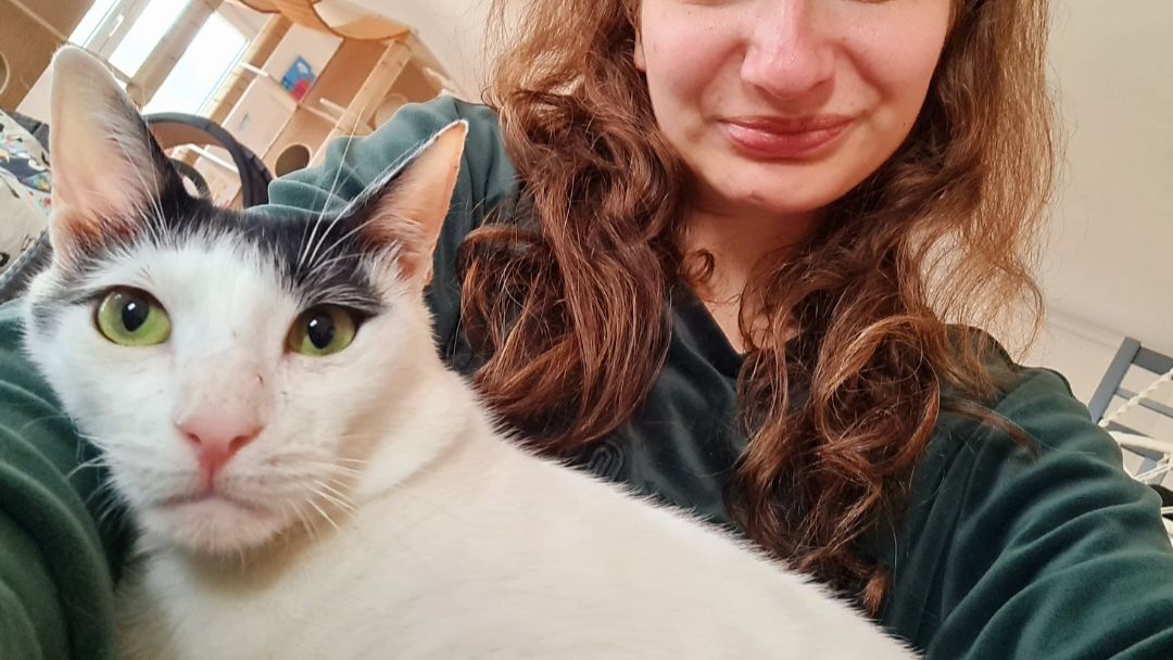 freiwilligenarbeit-griechenland-tierschutz-elli-24