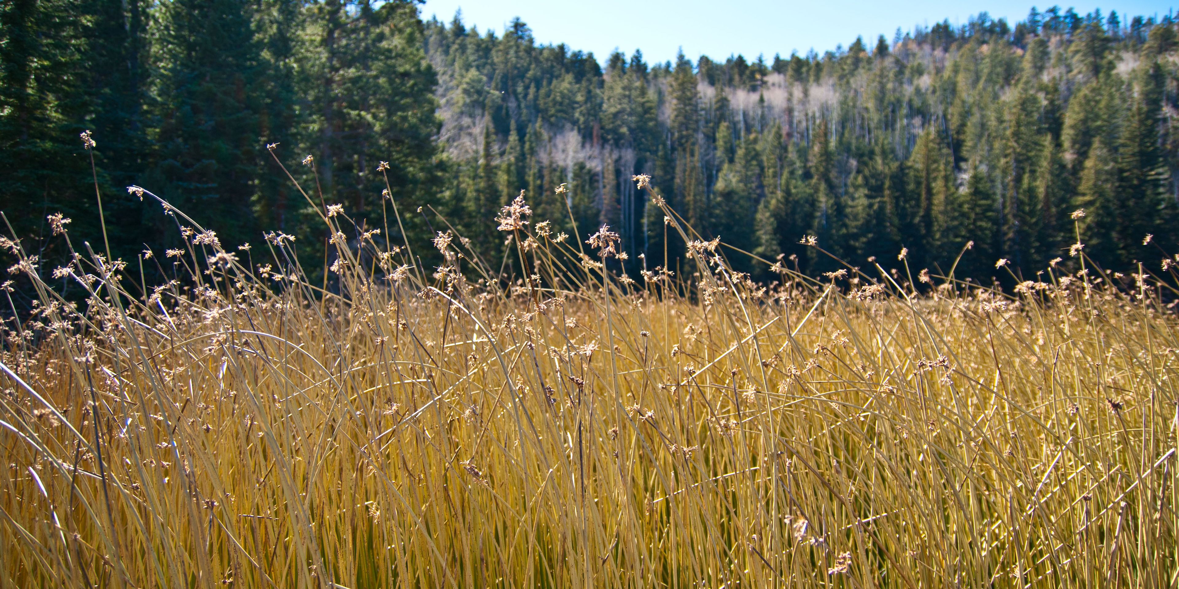 Auslandspraktikum in den USA: Blick ueber ein Feld auf einen Farmbetrieb