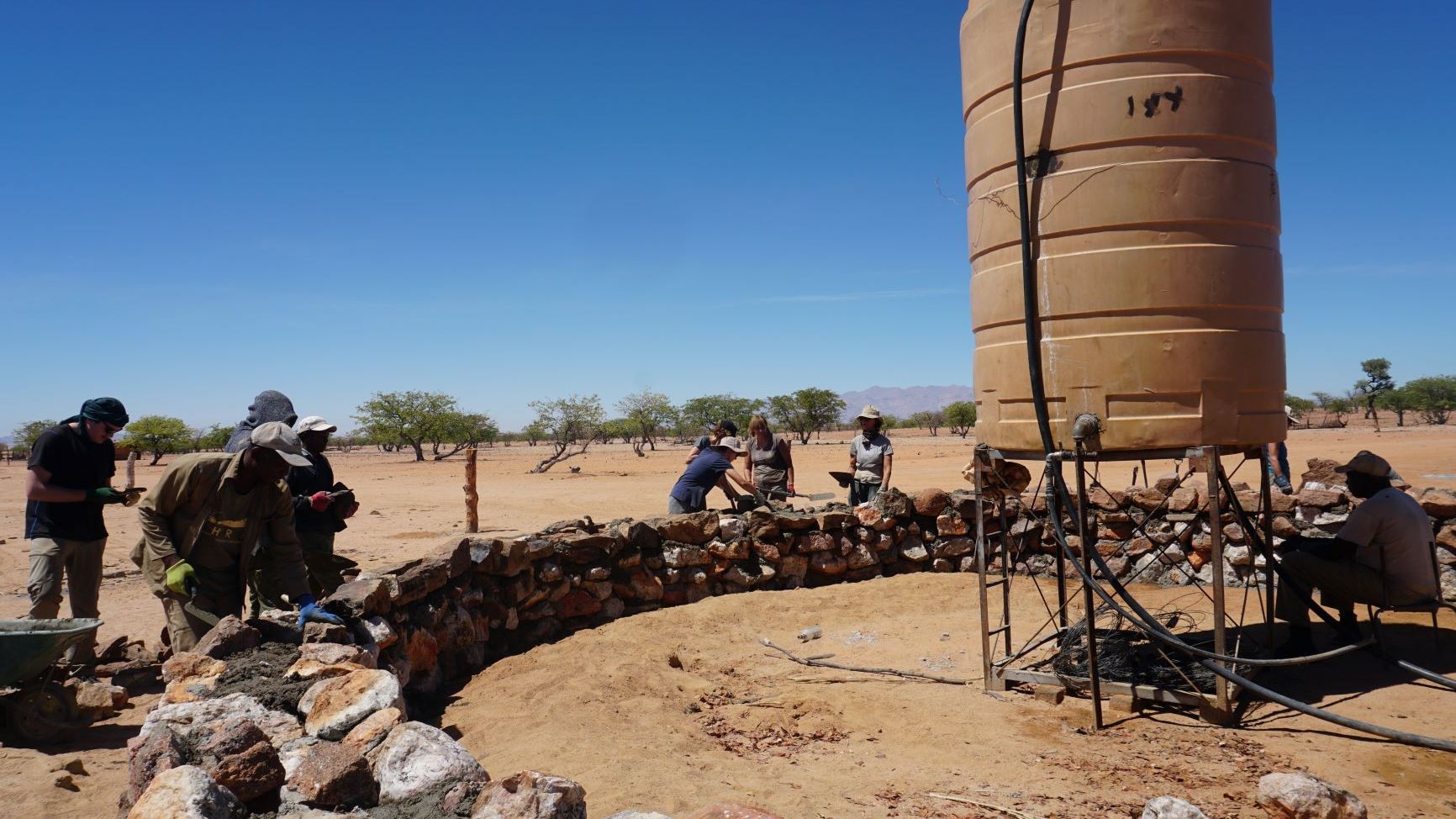 erfahrungsberichte-freiwilligenarbeit-namibia-elefanten-sabrina-build-week-natucate