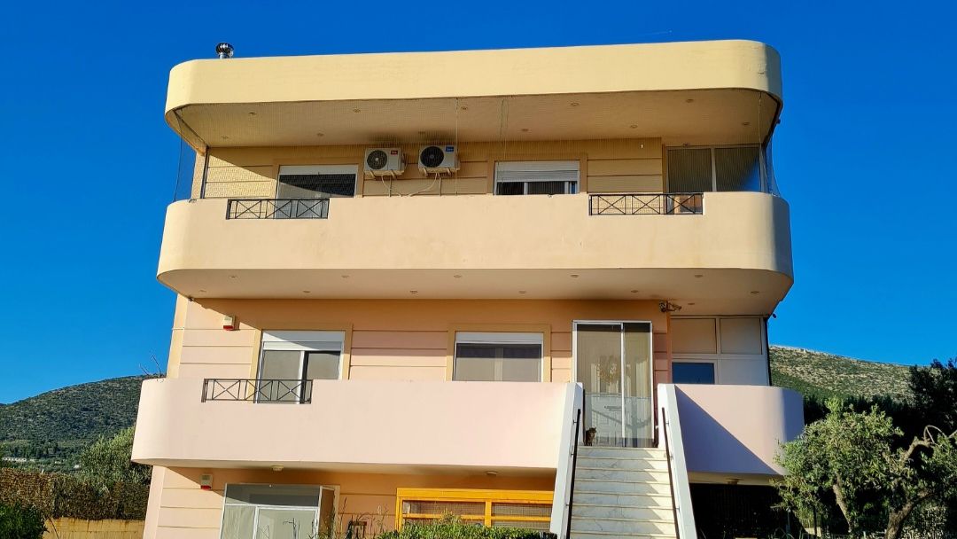 freiwilligenarbeit-griechenland-tierschutz-elli-14