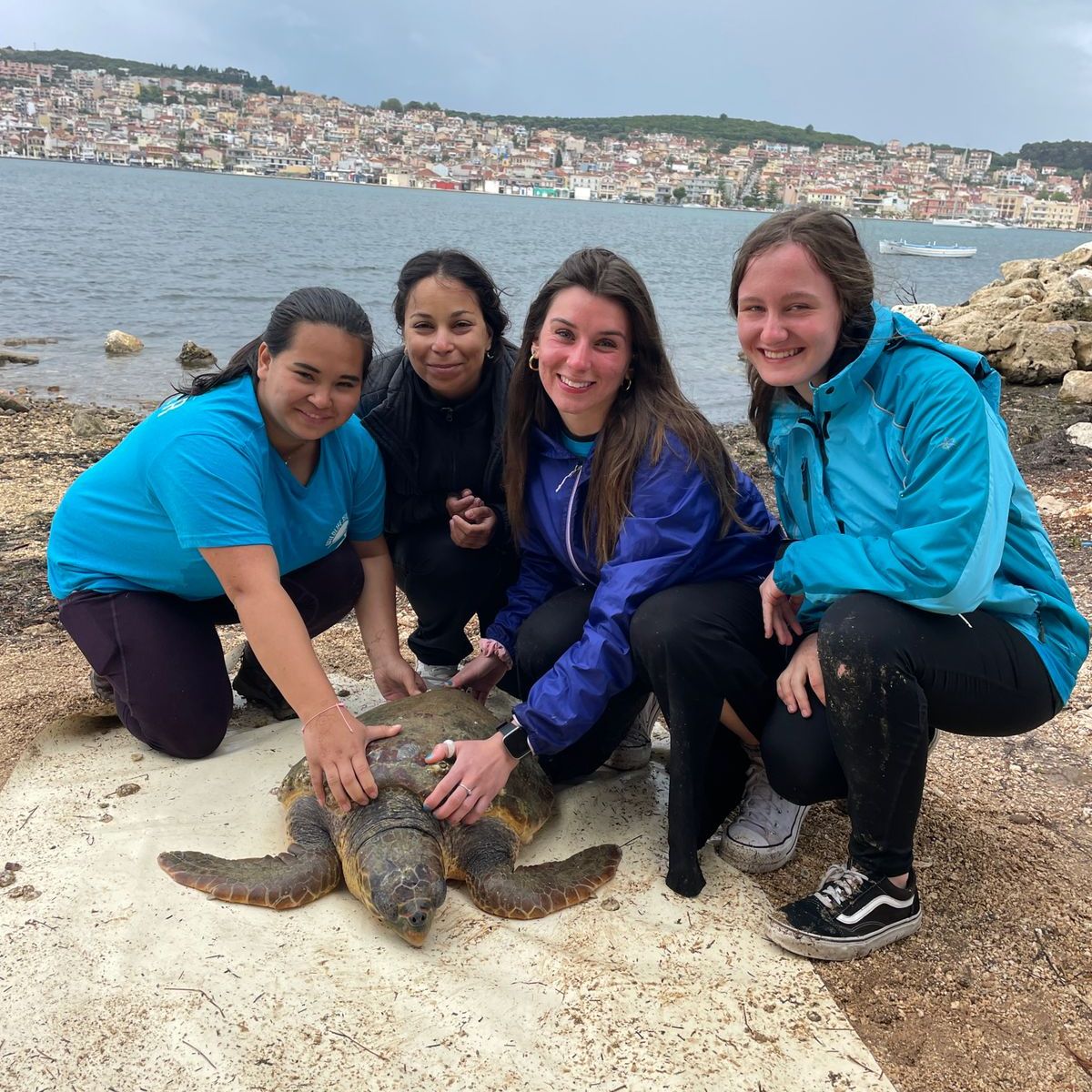 erfahrungsberichte-freiwilligendienst-griechenland-annalena-schildkroeten-team