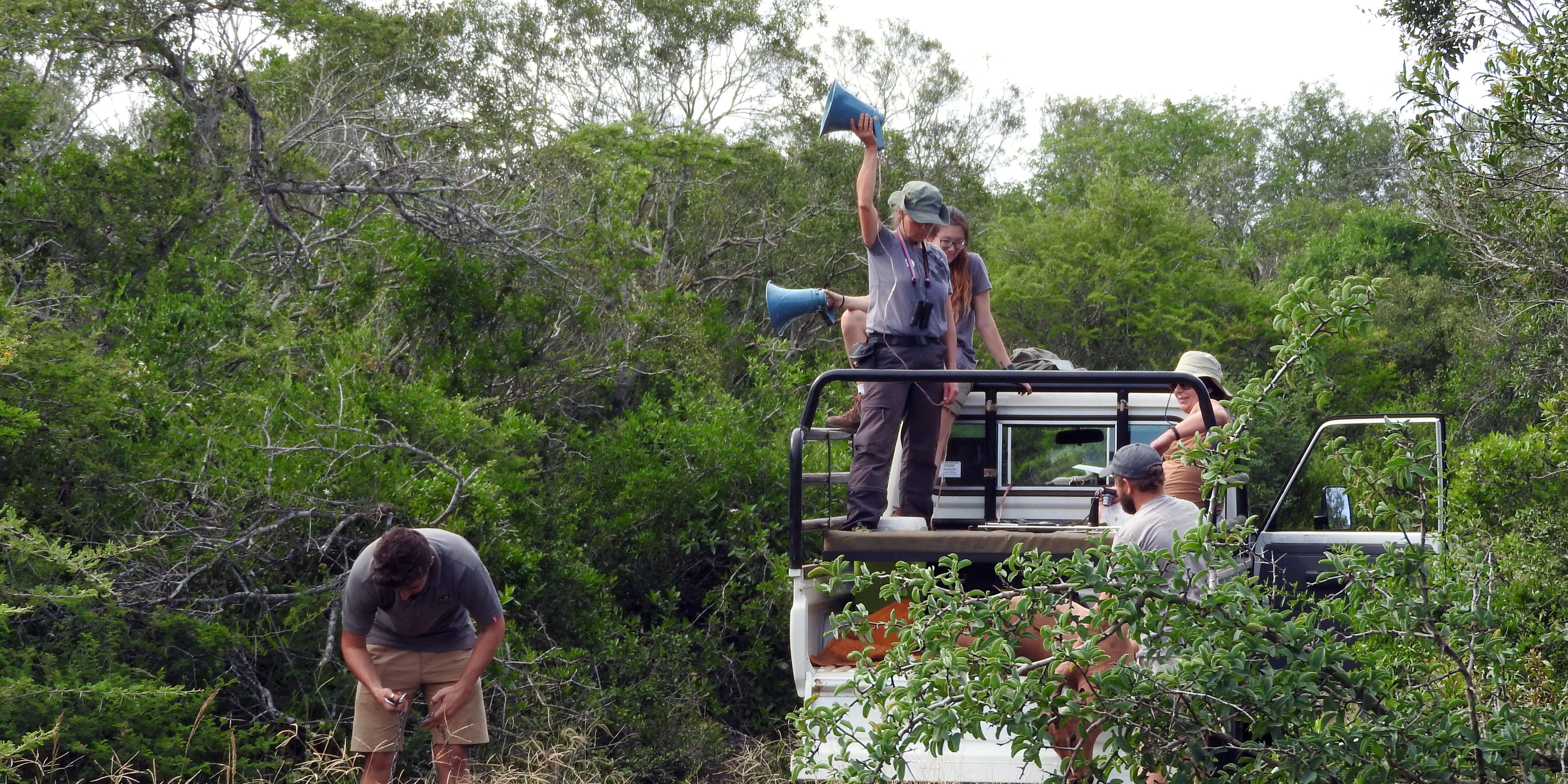 Teilnehmer unseres Trainingsprogramms zum Schutz gefaehrdeter Arten in Suedafrika beim Monitoring von Wildhunden