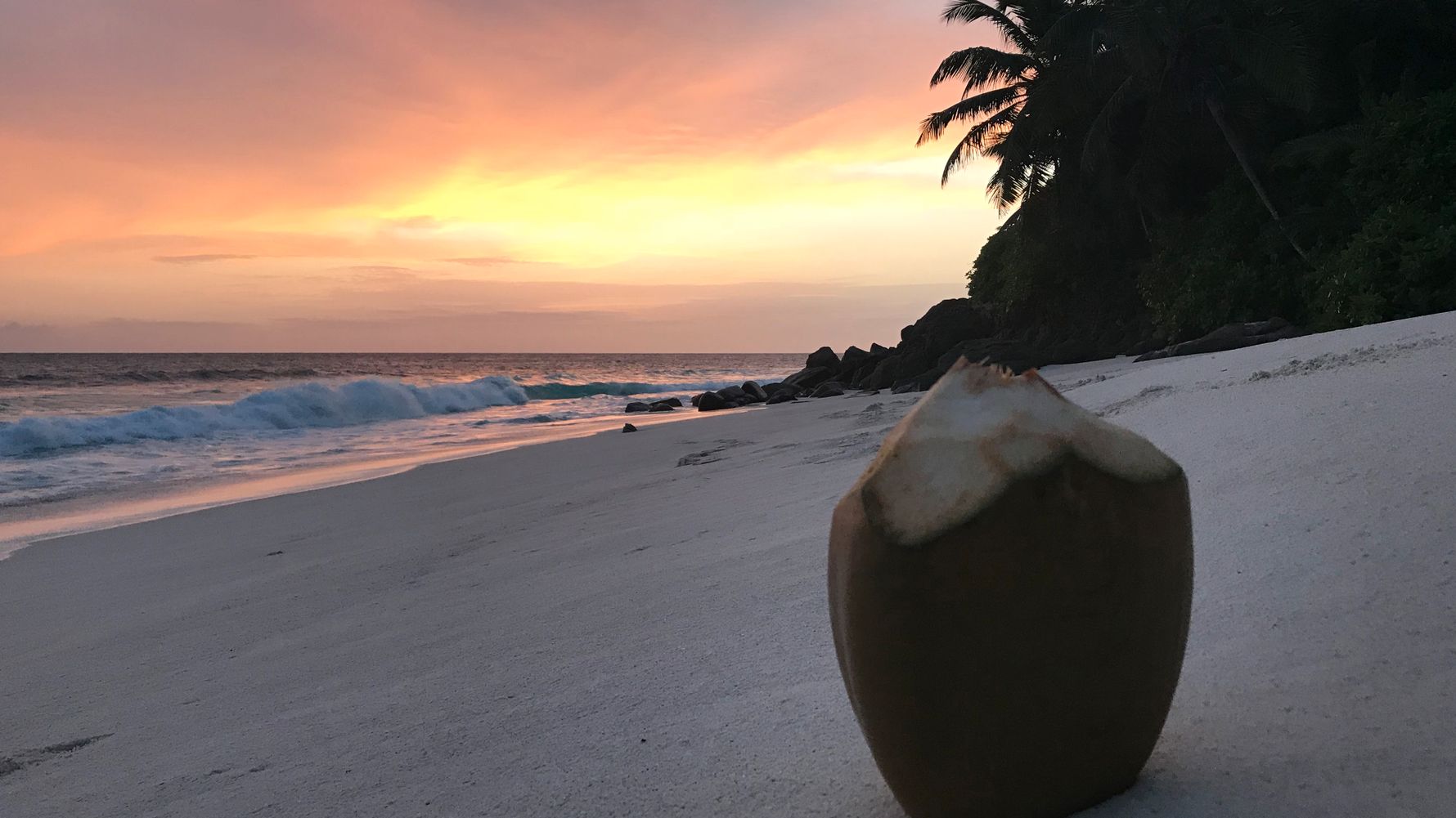 freiwilligenarbeit-seychellen-strand-erfahrungsbericht-artenschutz-natucate