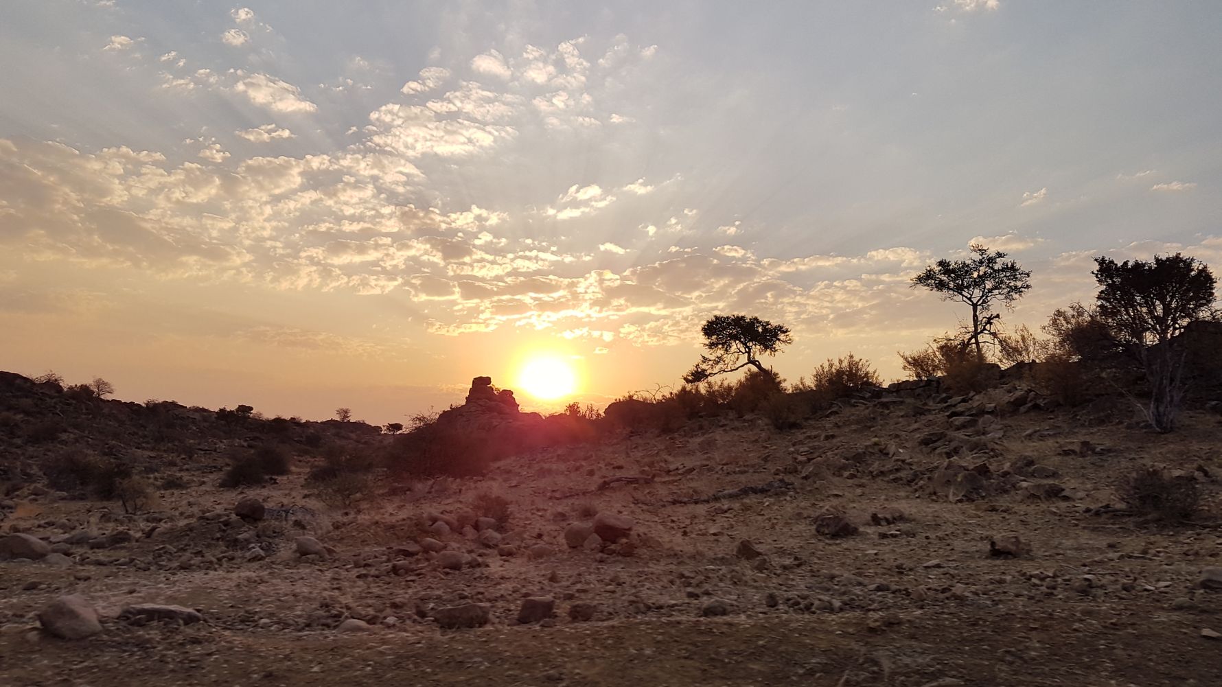 Naturguideausbildung: Ein Sonnenuntergang inmitten der afrikanischen Wildnis