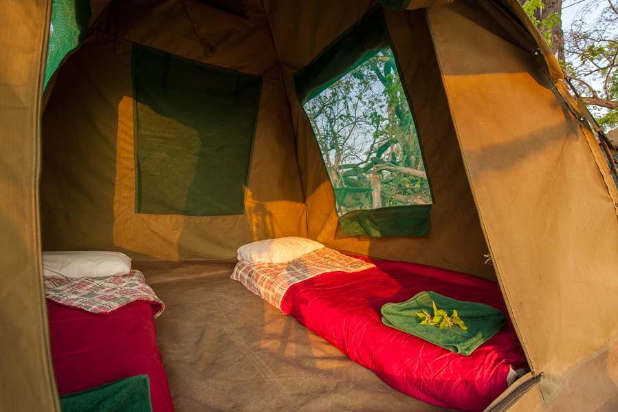 naturreisen-okavango-wilderness-experience-oddball