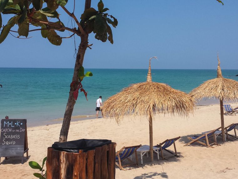 freiwilligenarbeit-thailand-erfahrungsbericht-kundenfotos-tierschutz-natucate