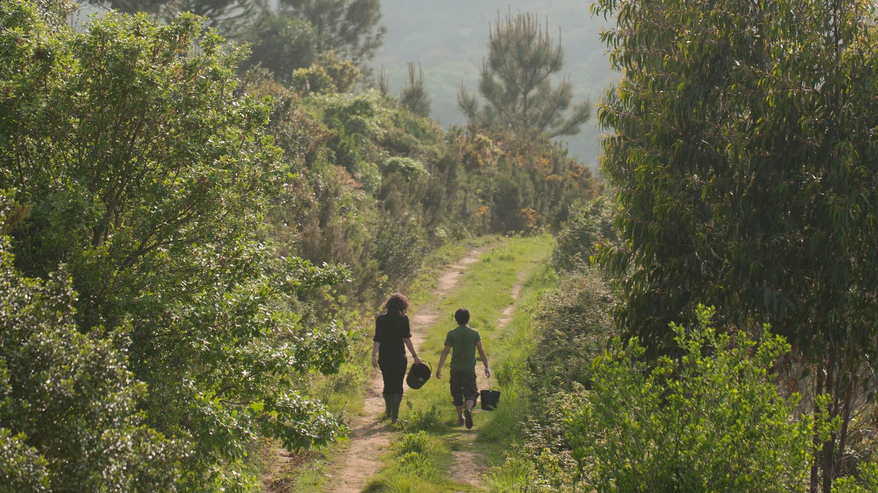 landingpage-auslandsjahr-abitur-freiwilligenarbeit-portugal-wolfsschutz-natucate