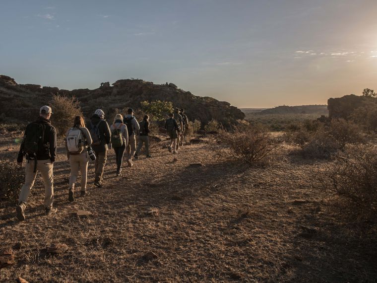 blog-ratgeber-safari-begriffe-fusssafari-natucate
