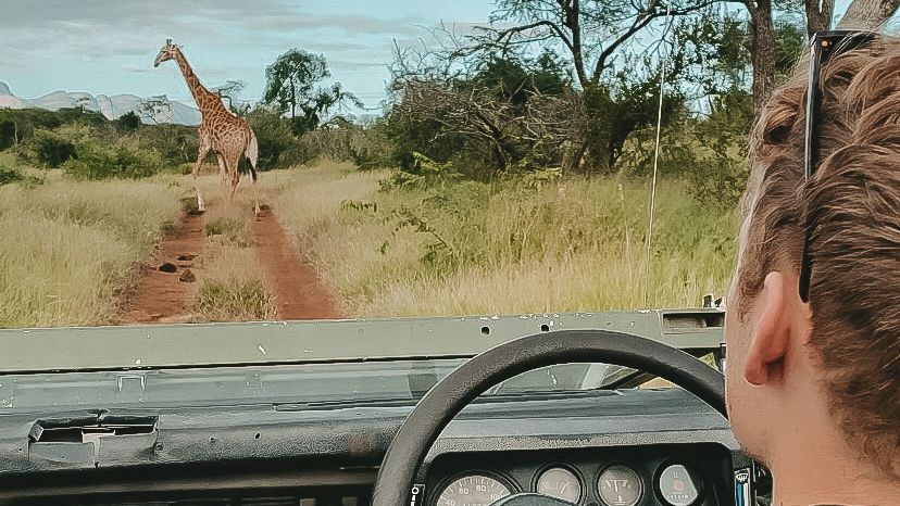 erfahrungsberichte-rangerkurs-field-guide-level-1-afrika-ben-giraffe-natucate