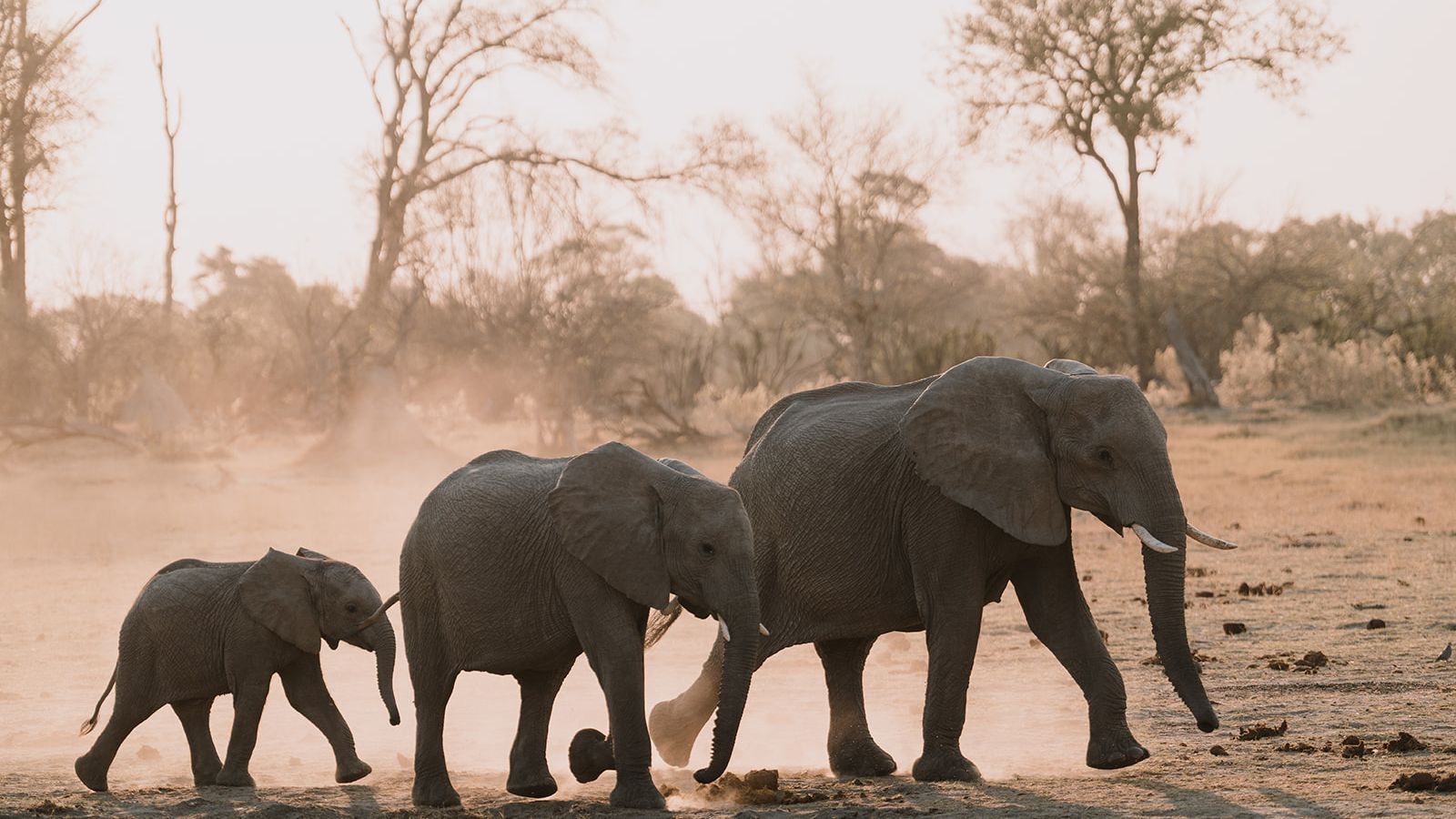 natucate-blog-pr-trip-alice-elephants-row