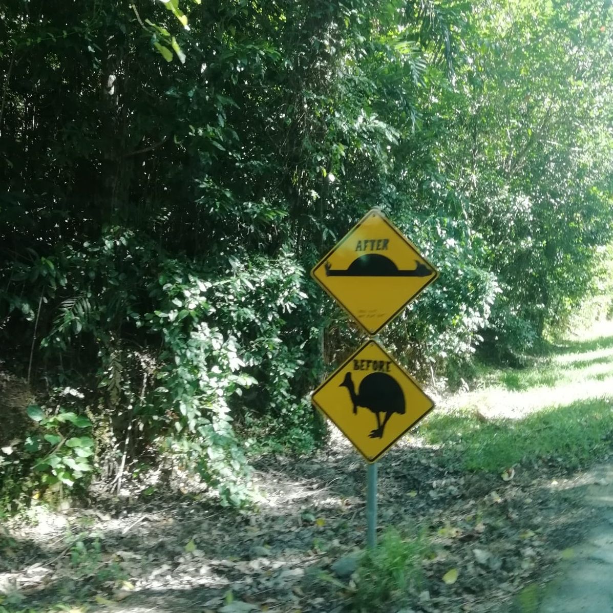 freiwilligenarbeit-ozeanien-erfahrungsbericht-naturschutz-unterwegs-natucate