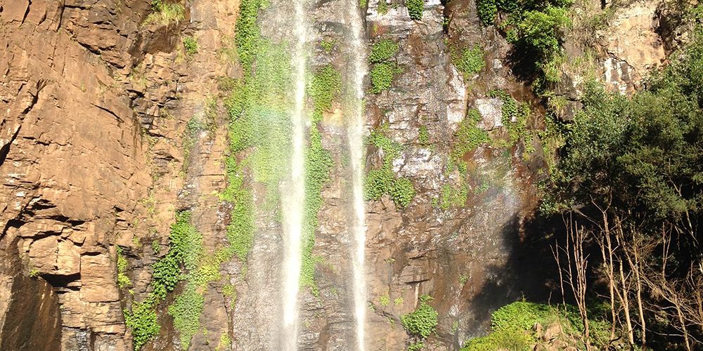 naturreise-koalaschutz-australien-natur-wasserfall-artenschutz-natucate