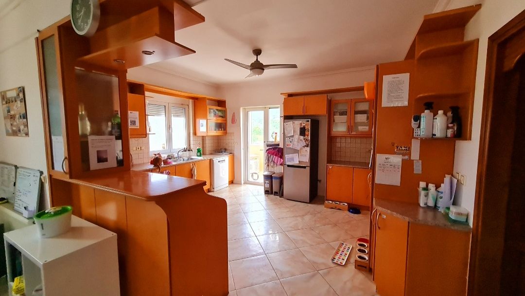 freiwilligenarbeit-griechenland-tierschutz-elli-28