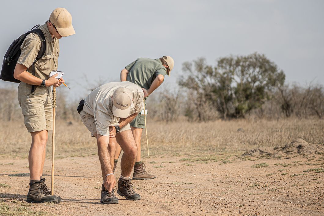 natucate-guide-course-bw-pfg-tracking-bush-three-people