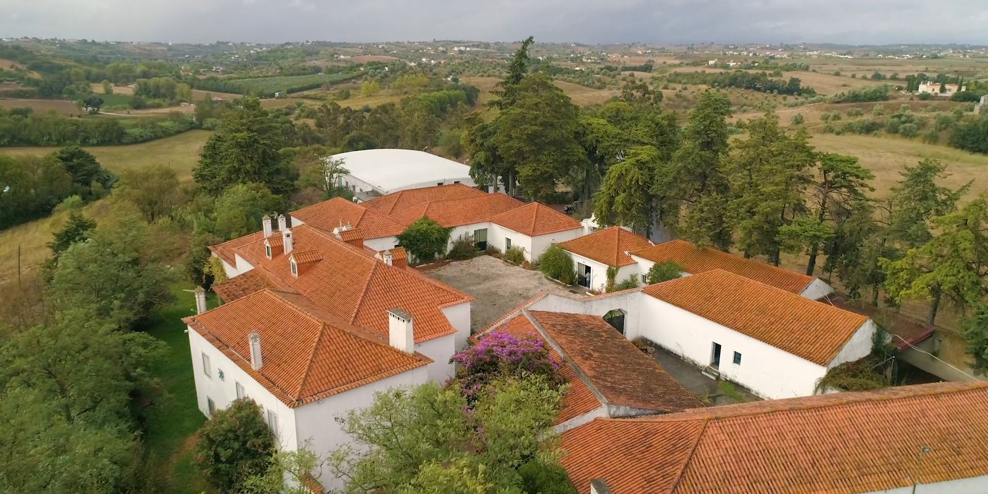 Die Auffangstation für Tiere in Not in Portugal hat mehrere weiße Gebäude mit rötlichen Dächern in einer begrünten Umgebung