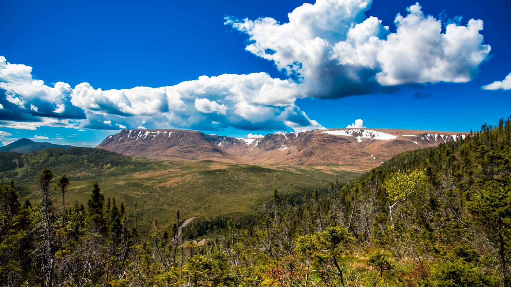 natucate-blog-project-visit-canada-header