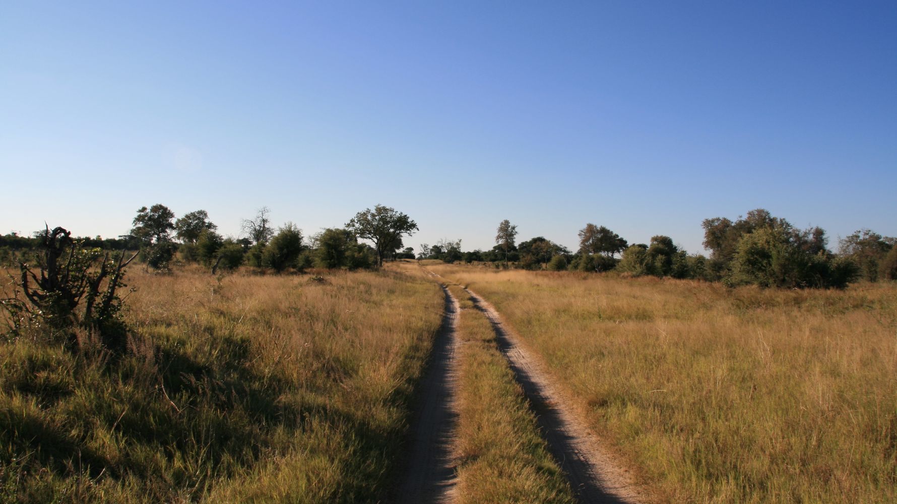 blog-ratgeber-botswana-khwai-konzession-strasse-natucate