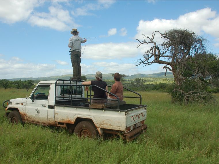 artenschutz-antennen-telemetrie-und-ueberwachung-von-wildtieren-blog-natucate
