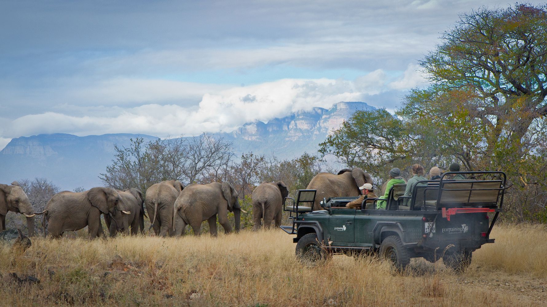blog-camp-pridelands-game-drive-panorama-berge-natucate