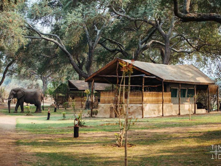 blog-ratgeber-sambia-chongwe-river-camp-elefant-camp-natucate