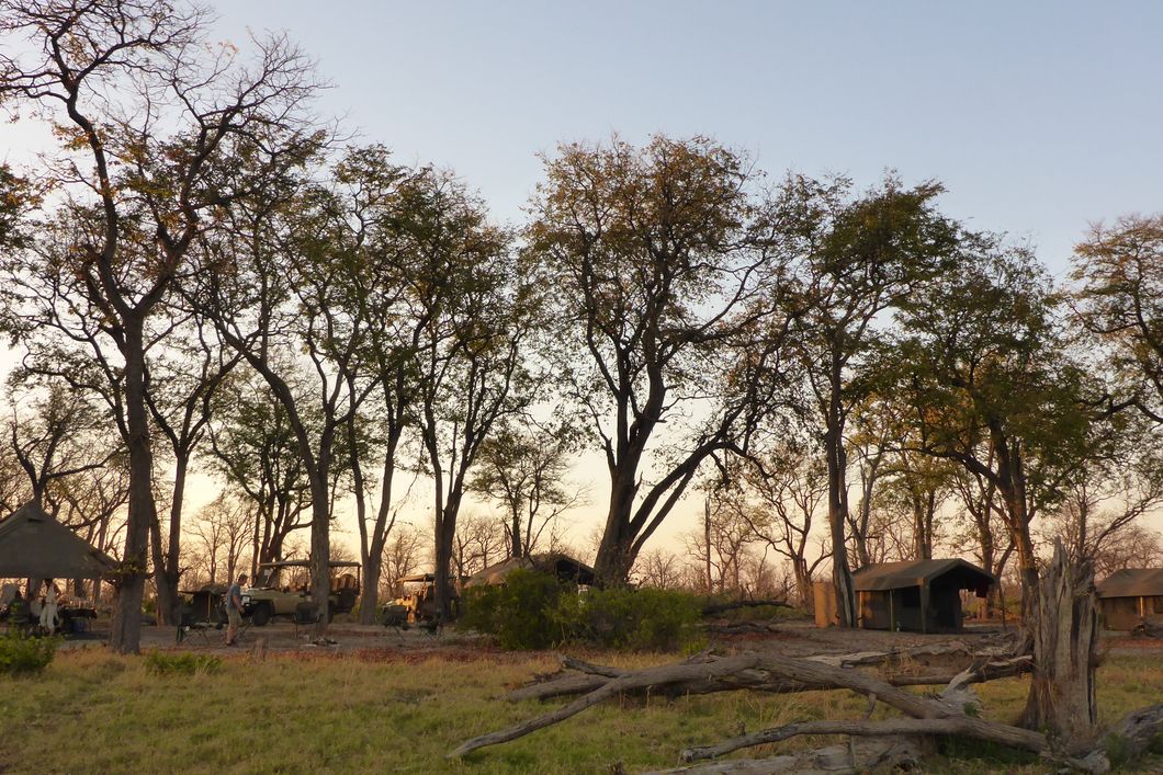 safari-botswana-okavango-delta-northern-highlights-camp-panorama-natucate